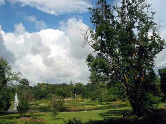 Kandawgyi Botanical Gardens